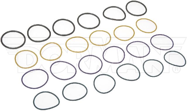 2007-2009 Volvo VNL Fuel Injector O-Ring Kit (Dorman)