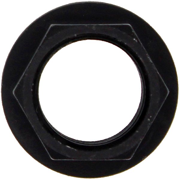 2001-2007 Toyota Sequoia Spindle Nut - Front (Dorman)