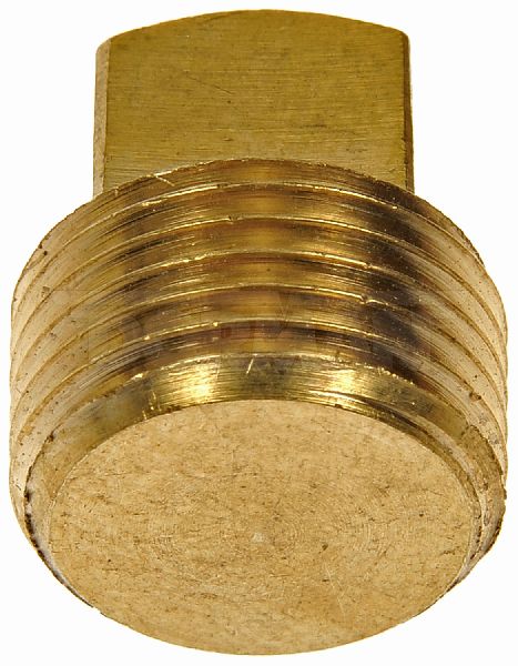 1977-1981 Buick Century Pipe Plug (Dorman)