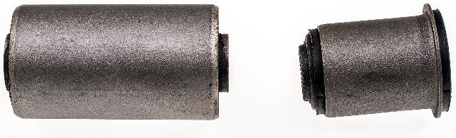 2002-2004 Isuzu Axiom Suspension Control Arm Bushing Kit - Front Lower (Dorman)