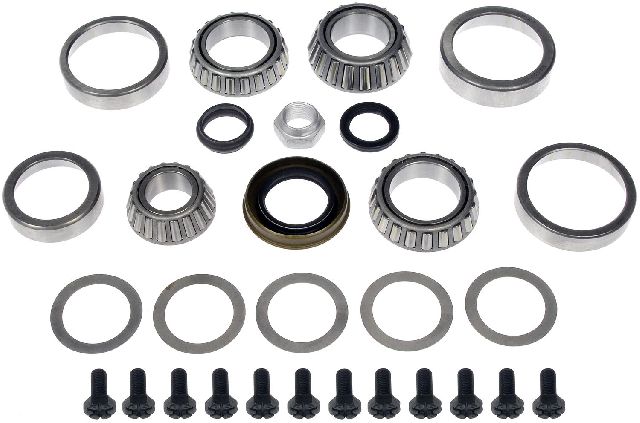 1978-1979 Dodge Magnum Differential Bearing Kit - Rear (Dorman)