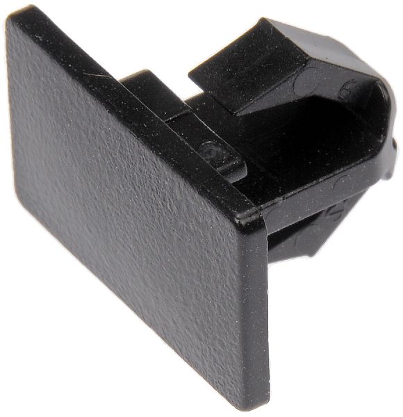 2005-2008 Dodge Magnum Rocker Panel Molding Retainer (Dorman)