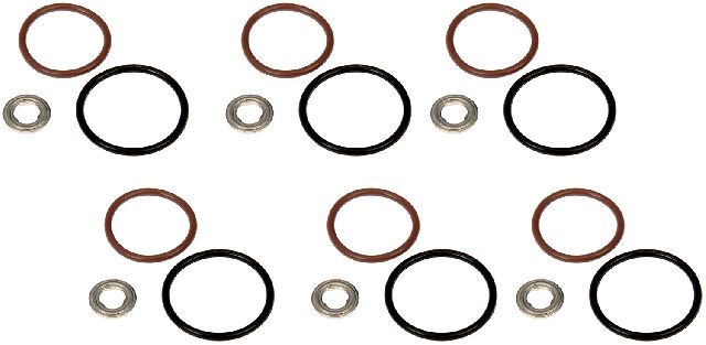 2005-2013 International 4300 Fuel Injector O-Ring Kit (Dorman)