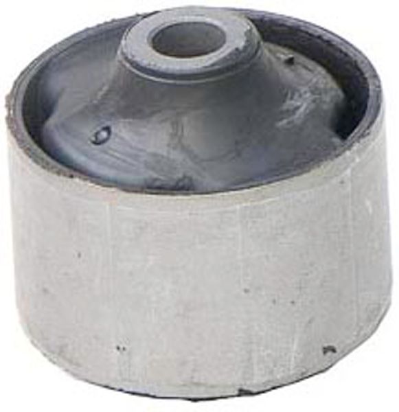 2001-2006 Hyundai Santa Fe Suspension Control Arm Bushing - Front Lower Rearward (Dorman)