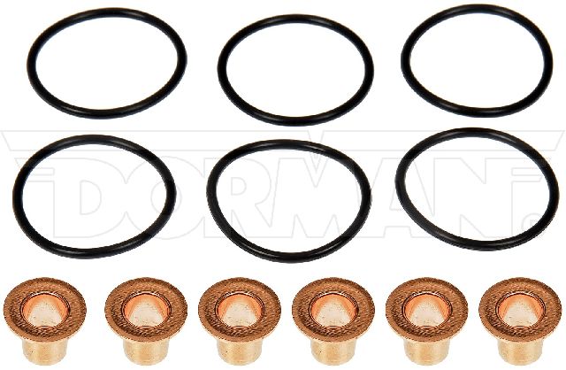 2011-2019 Kenworth T800 Fuel Injector O-Ring Kit (Dorman)
