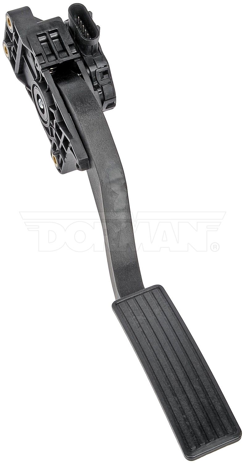 View 5