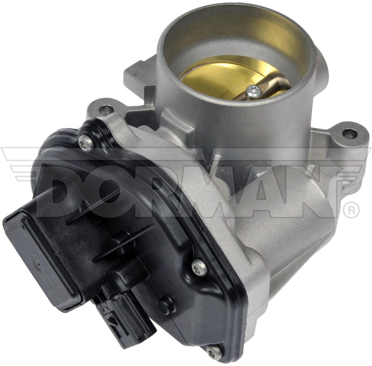 Fuel Injection Throttle Body