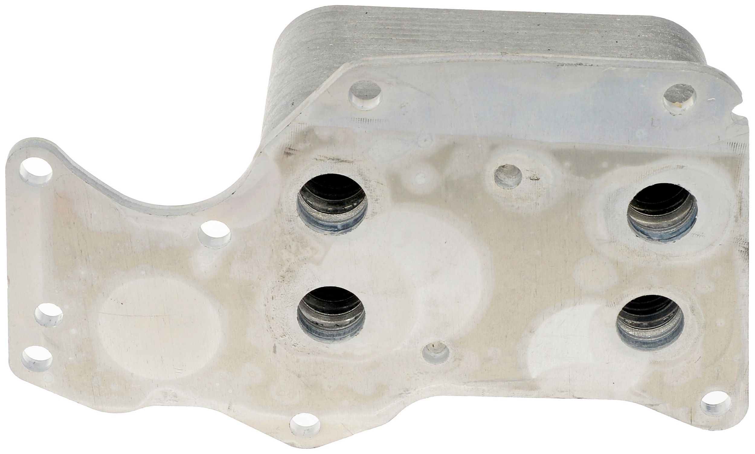 Engine Oil Cooler