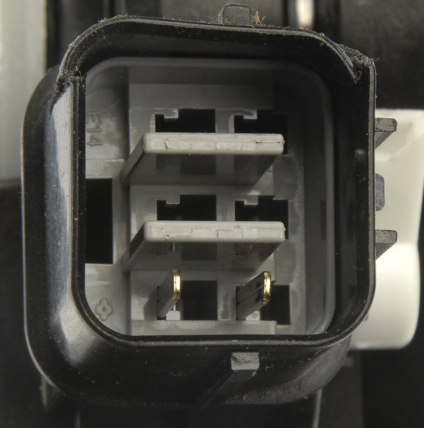 Window Motor and Regulator Assembly