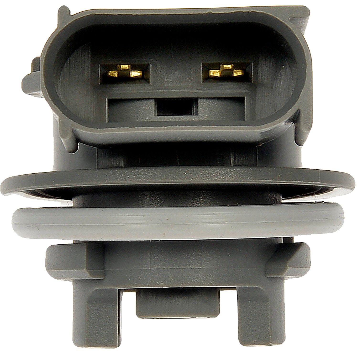 2007, 2006, 2005 Ford Focus Back Up Light Socket