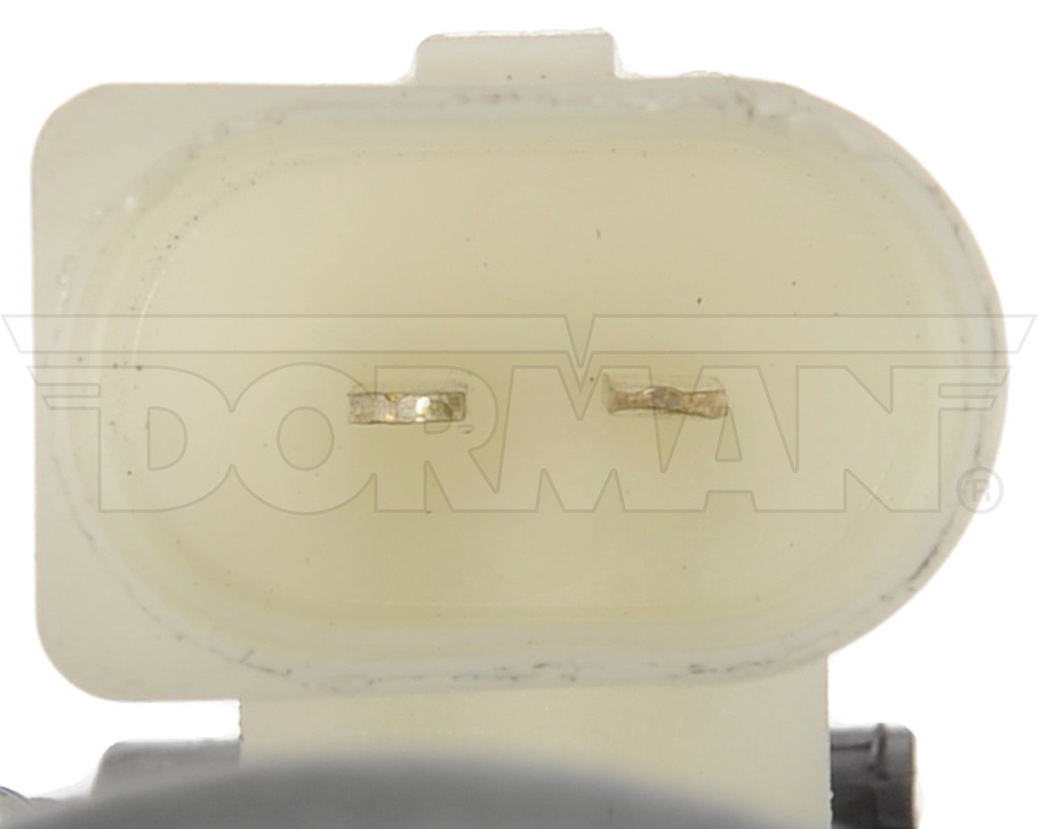 2007, 2006, 2005, 2004, 2003, 2002, 2001, 2000 Ford Focus Window Motor and Regulator Assembly