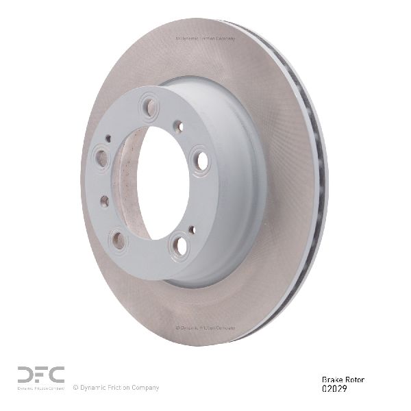 1997-2004 Porsche Boxster Disc Brake Rotor - Rear (Dynamic Friction)