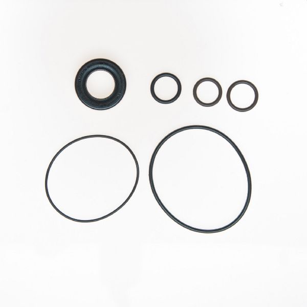 2001-2005 Pontiac Aztek Power Steering Pump Seal Kit (Edelmann)