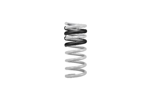 2015-2023 Ford Mustang Coil Spring Set (Eibach)