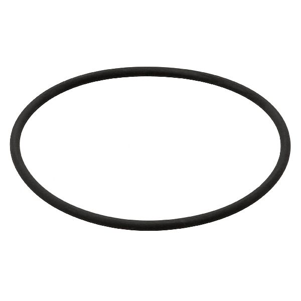 2006-2016 Chevrolet Express 2500 Fuel Pump Seal (Elring)