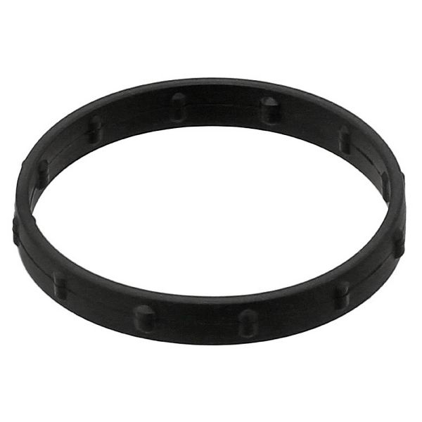 2020-2023 GMC Acadia Engine Water Pump Seal Ring (Elring)