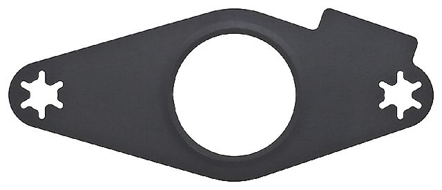 2021-2024 Chevrolet Express 2500 Fuel Pump Gasket (Elring)