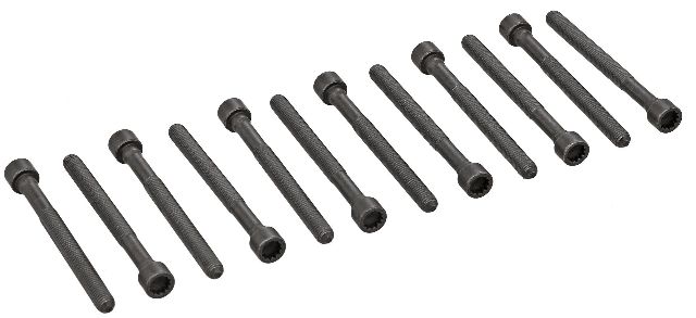 2007-2011 Audi S6 Engine Cylinder Head Bolt Set (Elring)