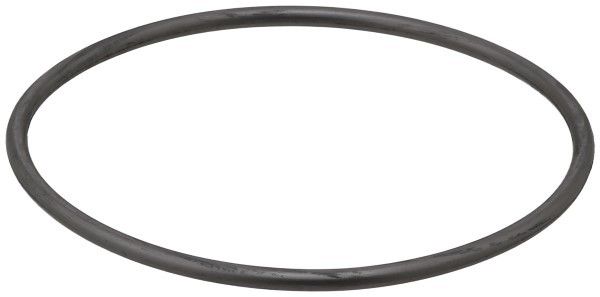 1979-1988 Audi 5000 Engine Water Pump Gasket (Elring)