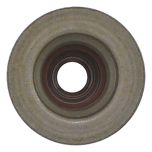 2016-2024 Chevrolet Camaro Engine Valve Stem Oil Seal (Elring)