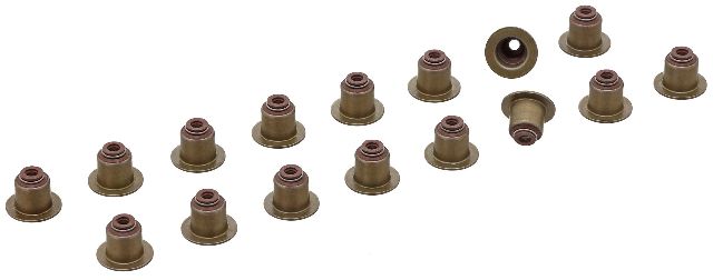 2019 BMW X1 Engine Valve Stem Oil Seal Set (Elring)