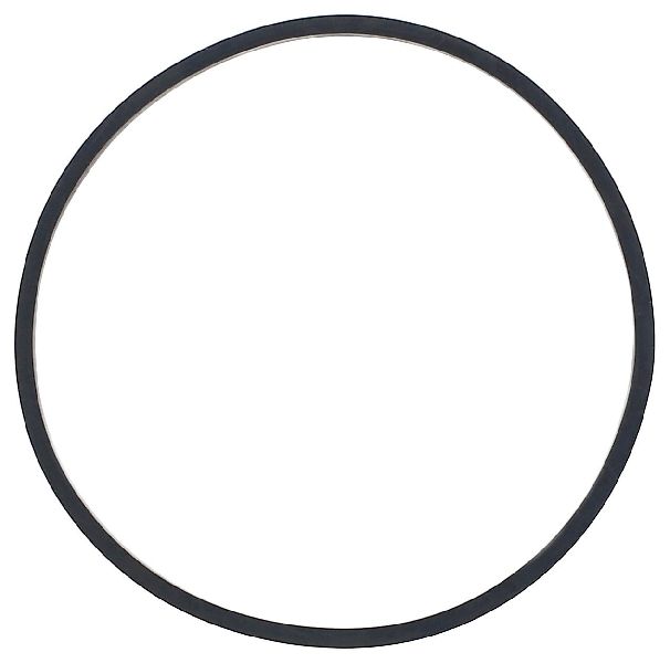 2014-2024 Ram 1500 Engine Intake to Exhaust Gasket (Elring)