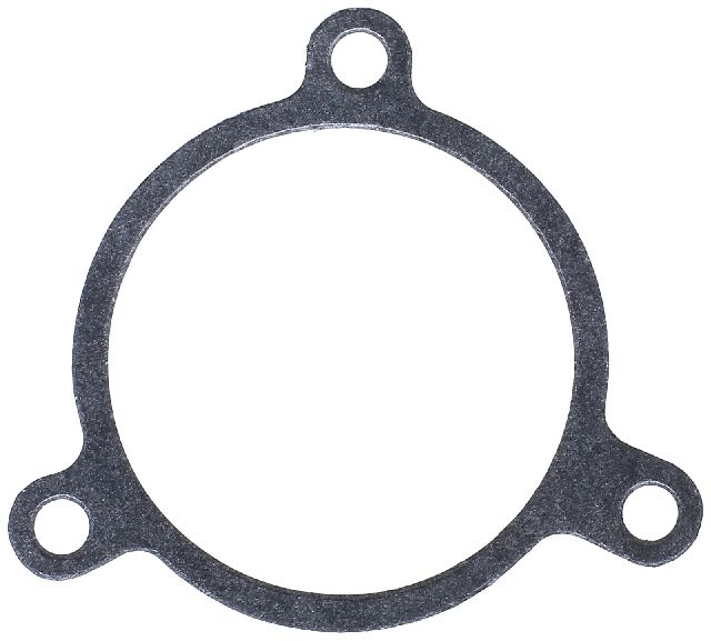 1985-1986 BMW 524td Engine Water Pump Gasket (Elring)