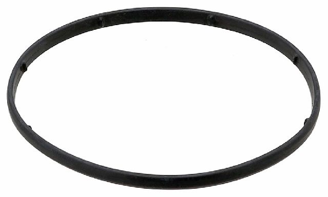 2009-2012 Audi Q7 Engine Coolant Thermostat Gasket (Elring)