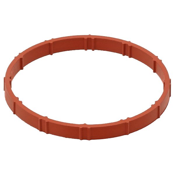 2020-2024 BMW X3 Fuel Injection Throttle Body Mounting Gasket (Elring)