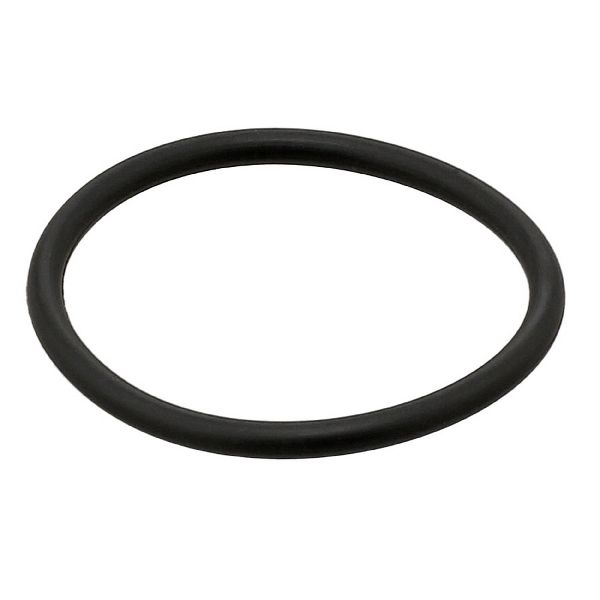 2006-2010 Chevrolet Express 2500 Engine Coolant Pipe Seal (Elring)