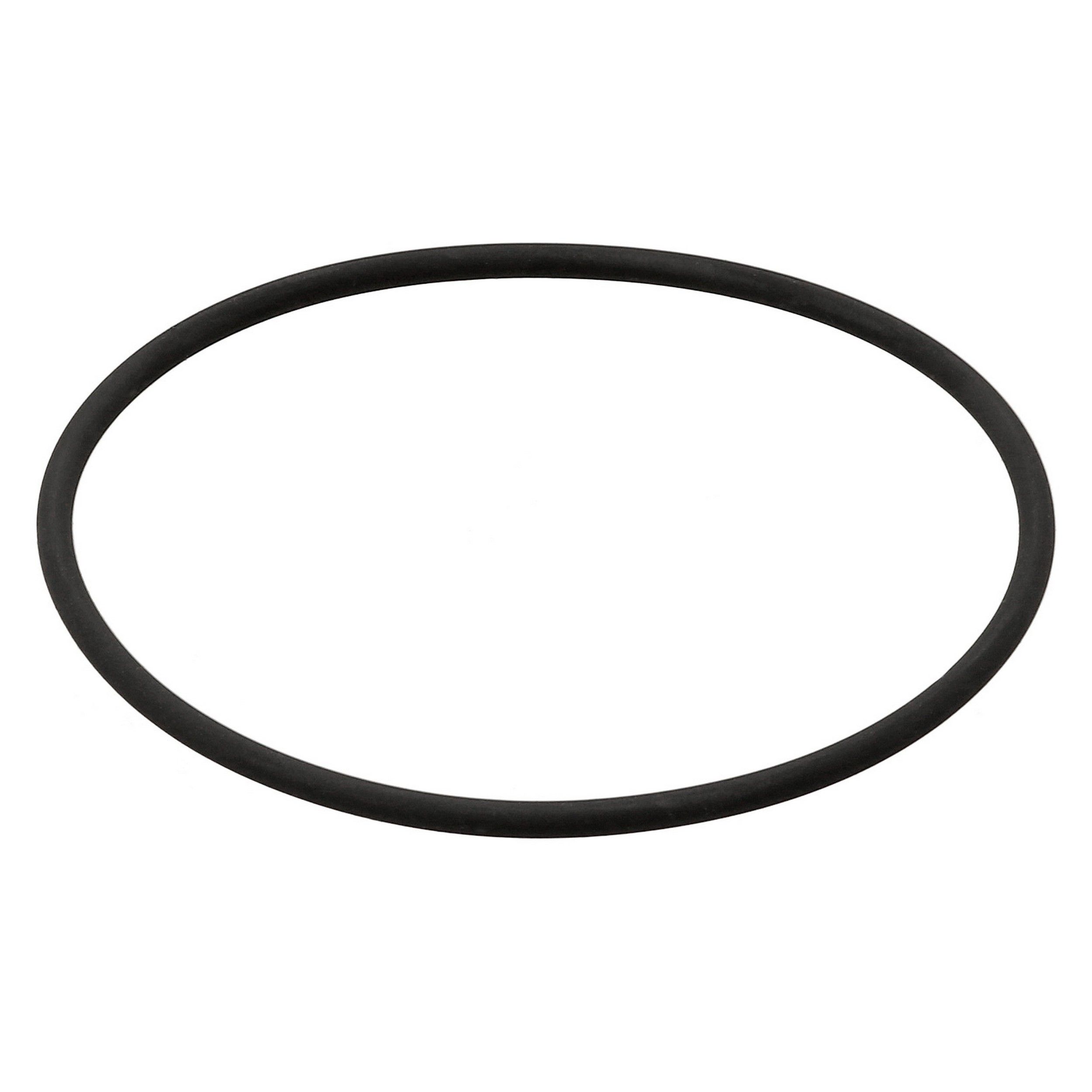Fuel Pump Seal
