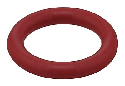 2006-2009 Avanti II Engine Oil Pump Gasket Elring