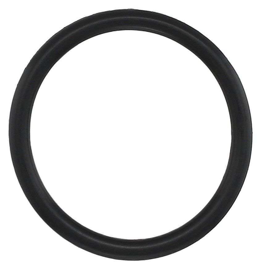 2024, 2023, 2022, 2021, 2020, 2019, 2018, 2017, 2016, 2015, 2014, 2013, 2012, 2011 Dodge Durango Caravan Fuel Line Seal Ring