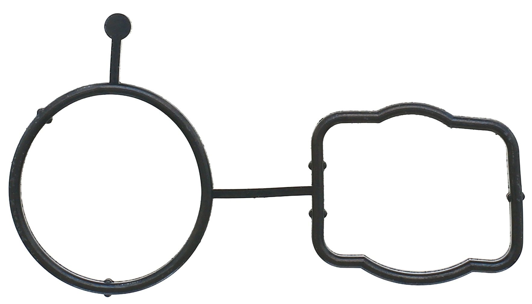 Engine Water Pump Gasket