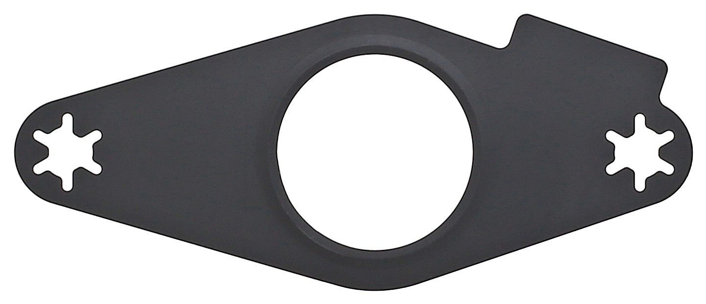 Fuel Pump Tank Seal
