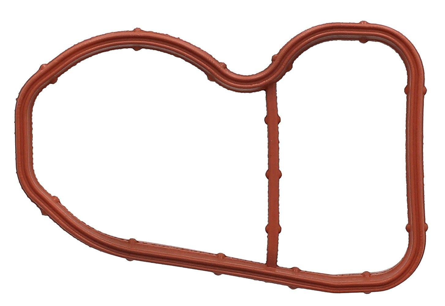 2019 BMW X1 Engine Intake Manifold Gasket