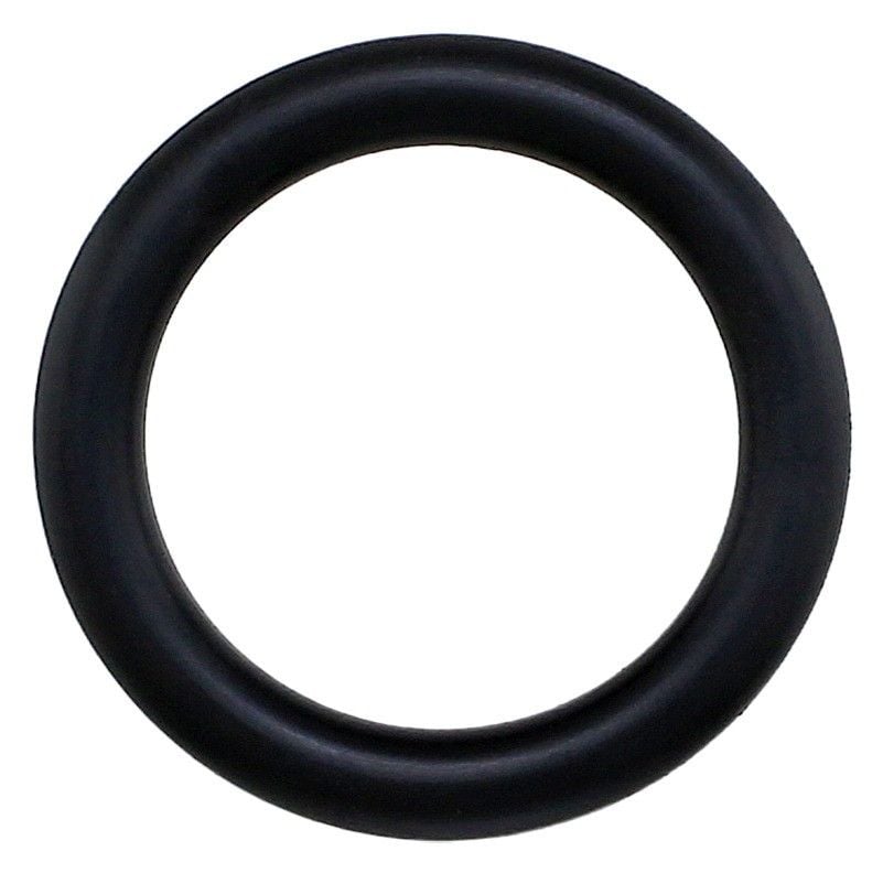 2002-2025 Avanti II Engine Oil Filler Cap Seal Elring