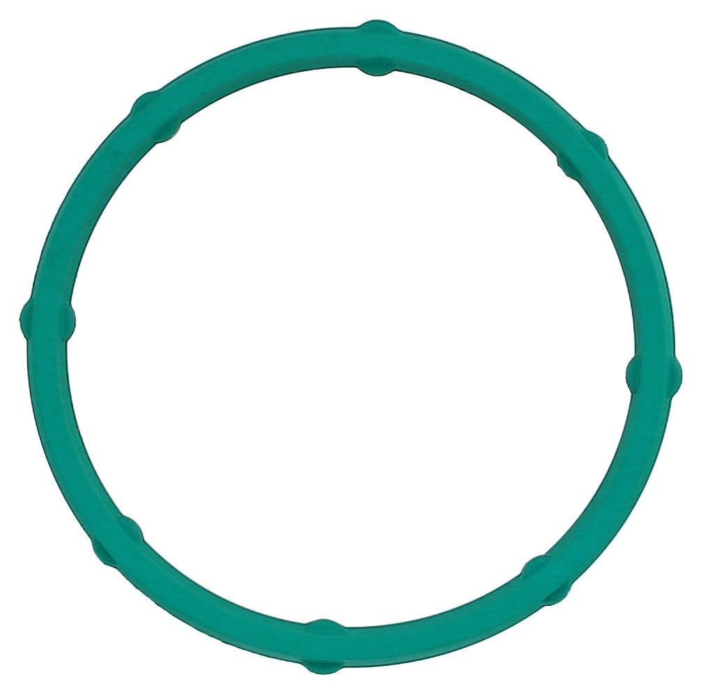 2016, 2015, 2014, 2013, 2012, 2011, 2010, 2009, 2008, 2007, 2006 Chevrolet Express 2500 2500 Engine Crankshaft Cover Gasket