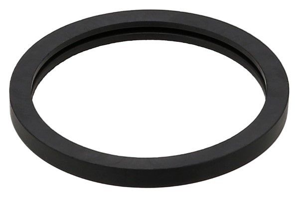 Engine Coolant Thermostat Seal