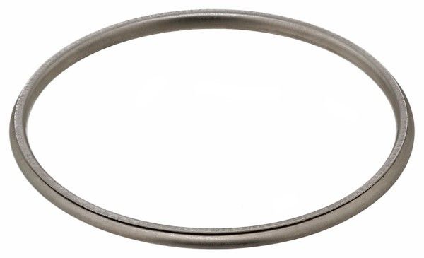 2005, 2004, 2003, 2002, 2001 Pontiac Aztek Exhaust Pipe Flange Gasket