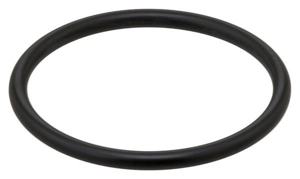 Engine Coolant Thermostat Seal