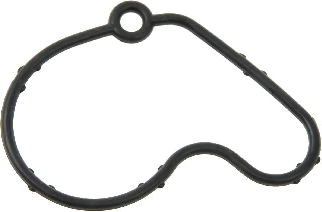 1999-2004 Volkswagen Golf Vacuum Pump Gasket (Elwis)