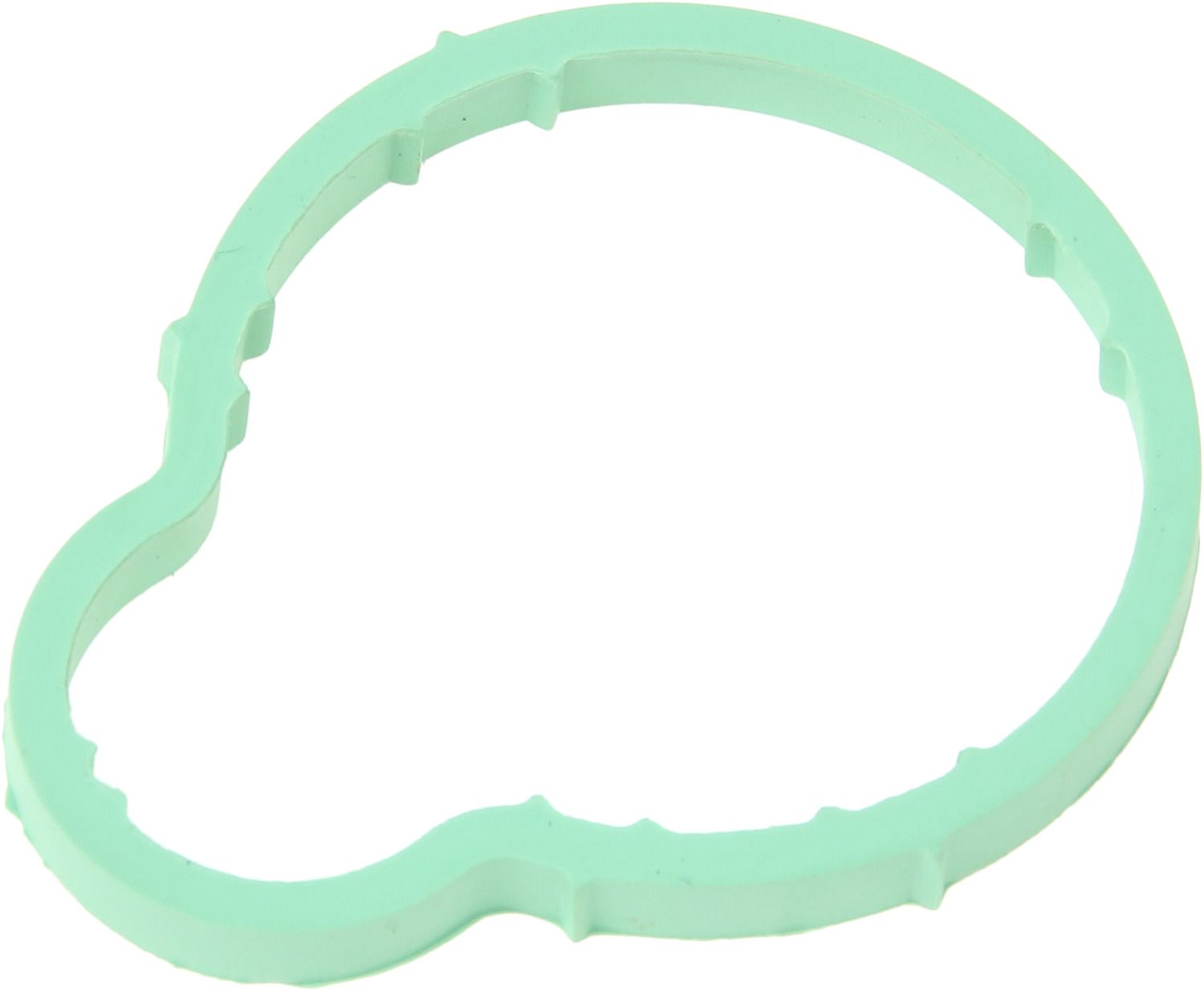 2002, 2001, 2000, 1999 Volkswagen Golf Engine Intake Manifold Gasket