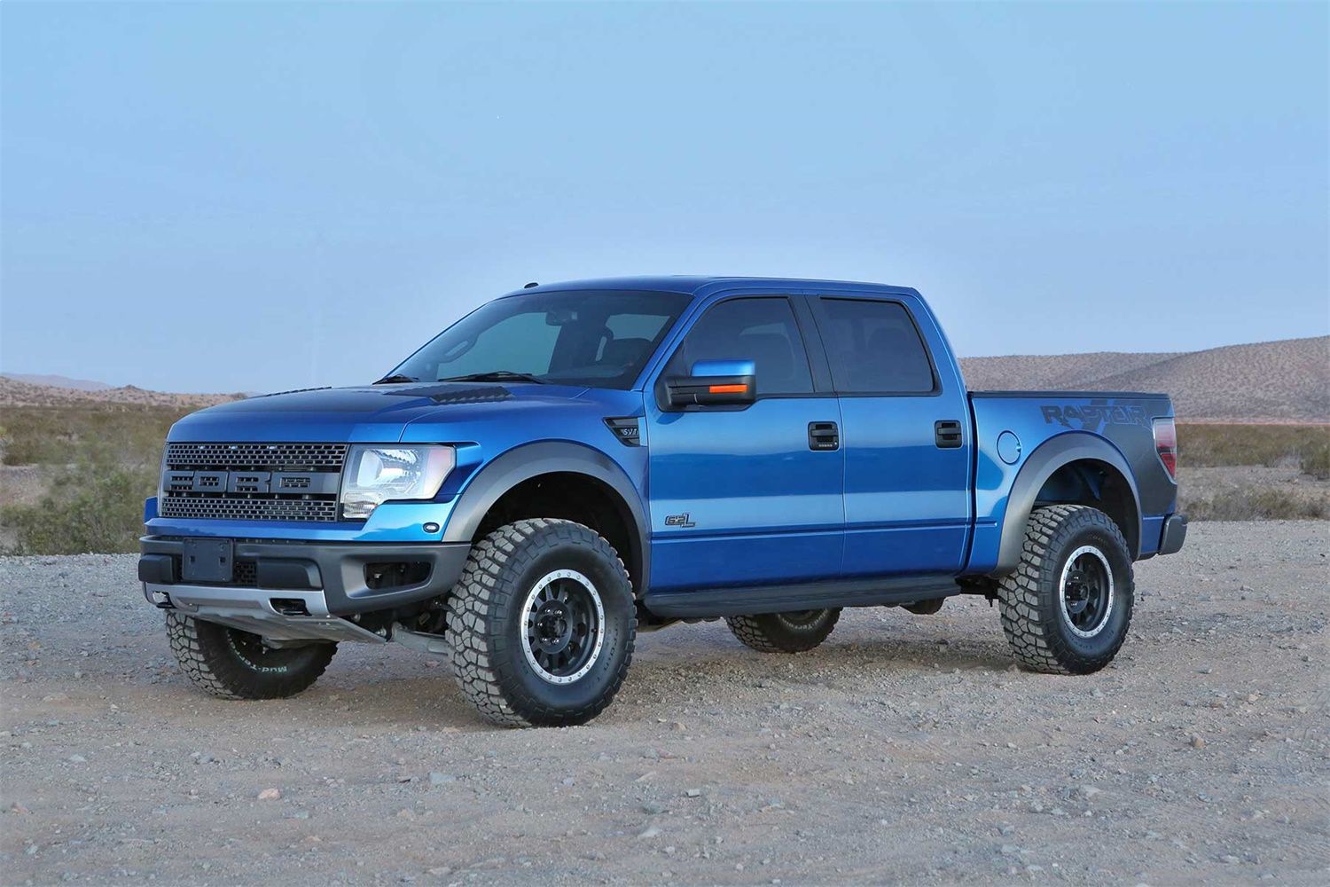 2014, 2013, 2012, 2011, 2010 Ford F-150 Shock Absorber