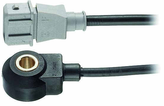 2004-2008 Chevrolet Aveo Ignition Knock (Detonation) Sensor (Facet)