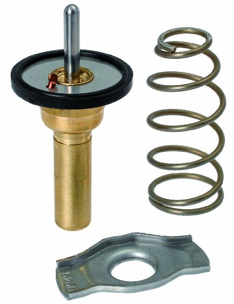 2008-2015 Smart Fortwo Engine Coolant Thermostat (Facet)