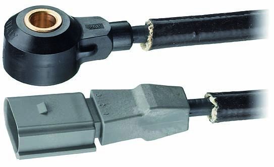2004-2005 Volkswagen Phaeton Ignition Knock (Detonation) Sensor (Facet)
