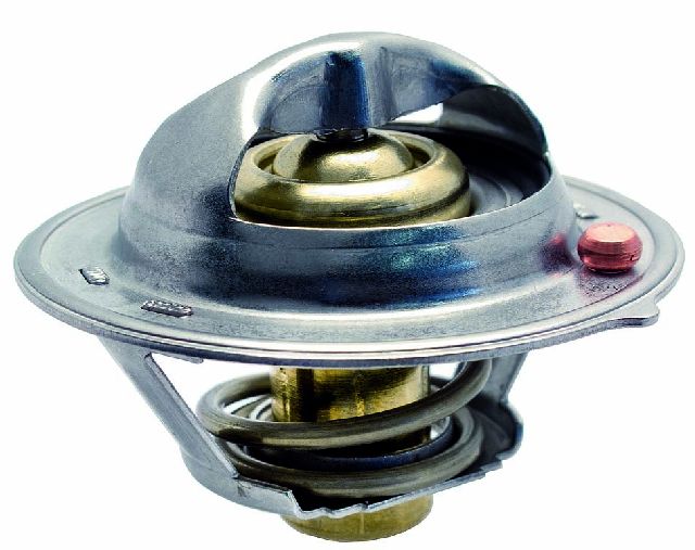 2012-2016 Hyundai Veloster Engine Coolant Thermostat (Facet)
