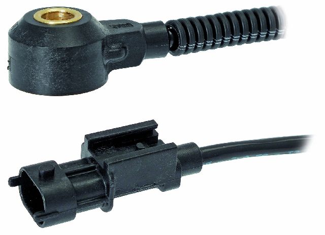 2006-2011 Kia Rio Ignition Knock (Detonation) Sensor (Facet)