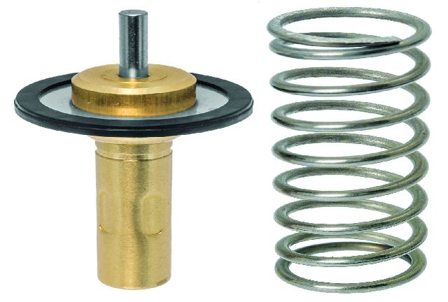 2015-2016 Volvo S80 Engine Coolant Thermostat (Facet)